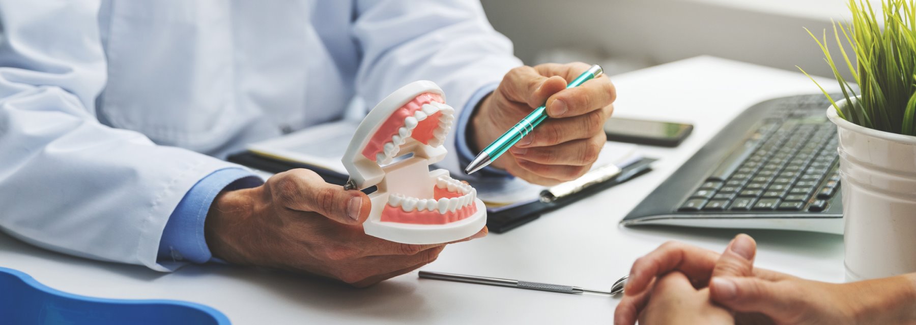 Dentist Demonstrates Tooth Model At Charleston West Virginia