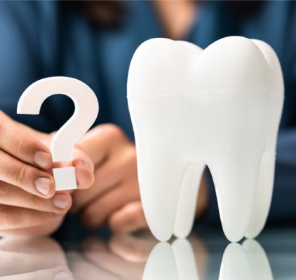 Visual Representation Of A Dental Implant at Charleston West Virginia
